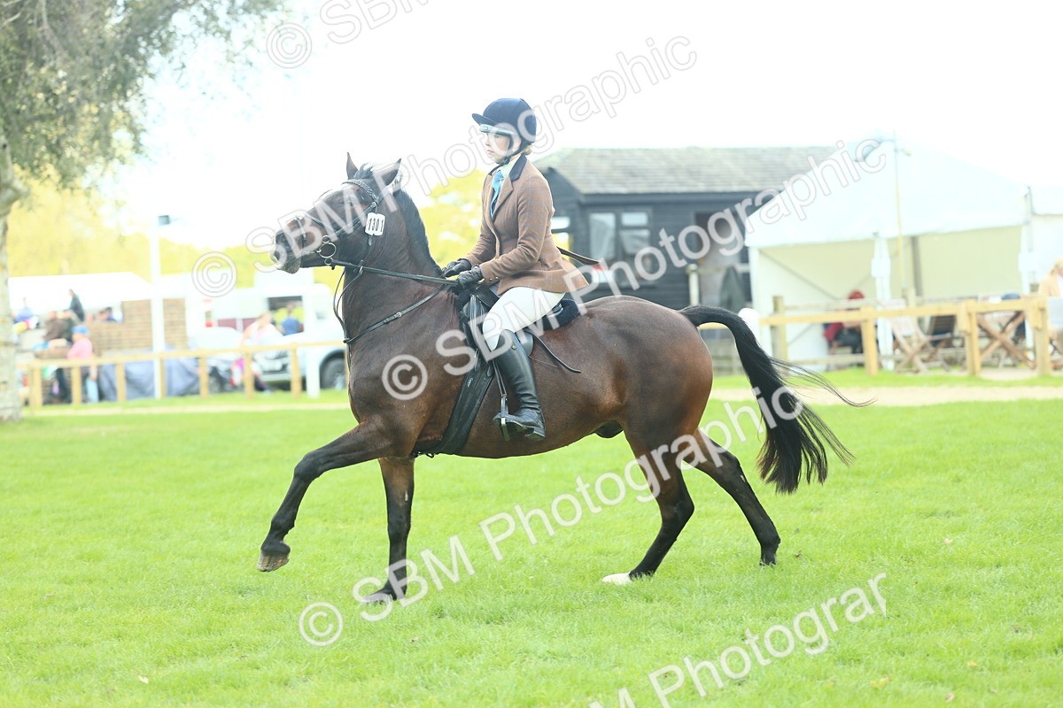 SBM_43018 - S30 - M&M Working hunter Pony