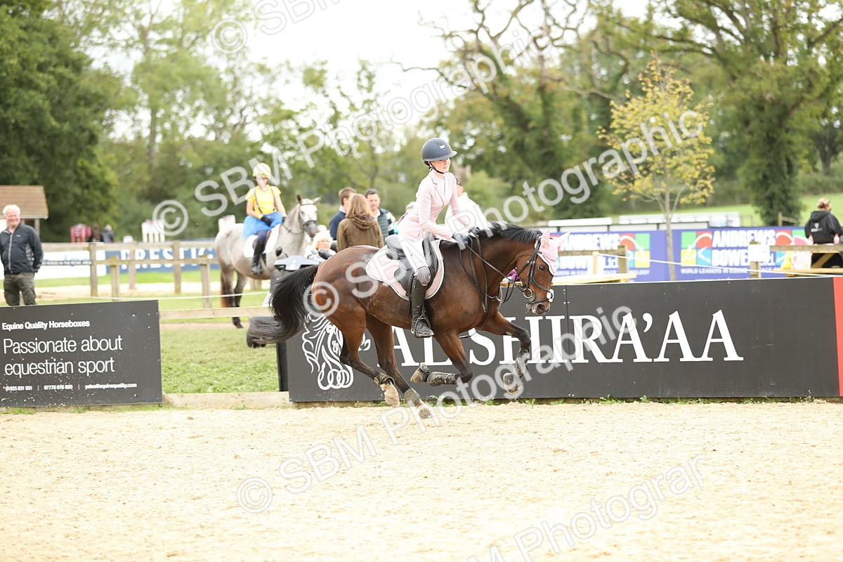 SBM_63222 - Supreme championship 75cm 80cm
