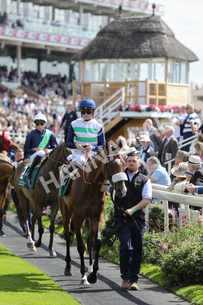 yr19082022r2-15 - Race 2 2.25pm Weatherbys Hamilton Lonsdale Cup (British Champions Series Race)