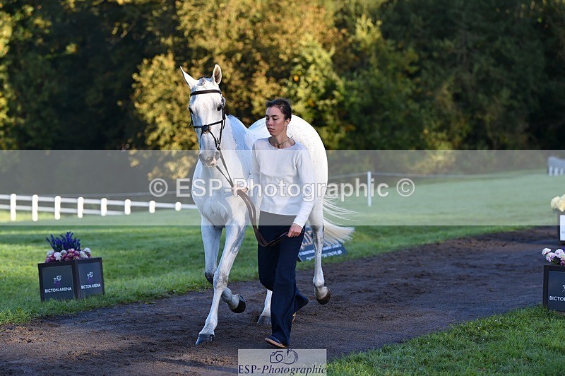 231022-085744-21472 - 646-SKIPTOTHEGOODBIT-Sophia.Mcdonald-TrotUp+SJ