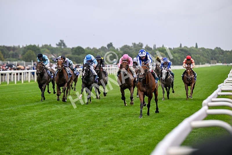 200826-Race 3-The Lost King-3356 - Race 3 15.00pm Sir Kevin Sinfield 7 In 7 Grand Finale Handicap