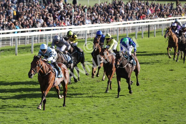 yr08102022r5-32 - Race 5 3.50pm The Coral Committed To Safer Gambling EBFStallions.com Maiden Stakes