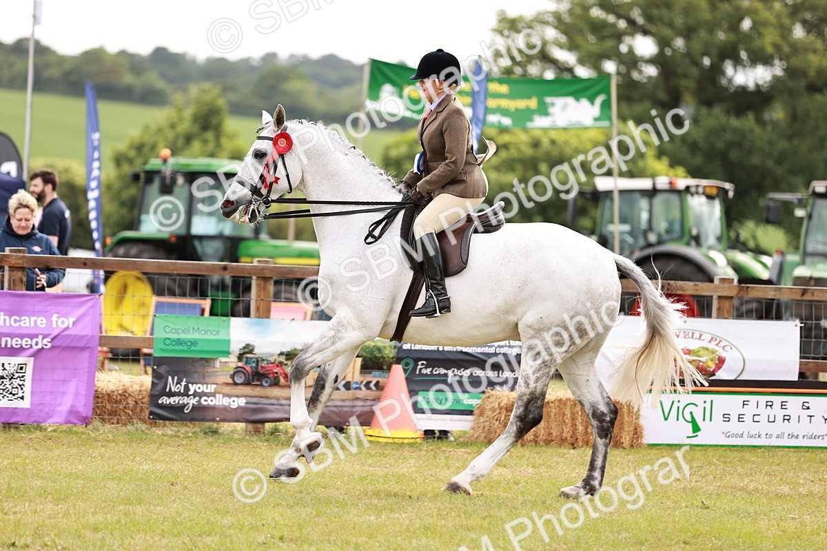 SBM_11594 - Class 81-84 - RIHS Ridden hunters Inc Ladies Hunter