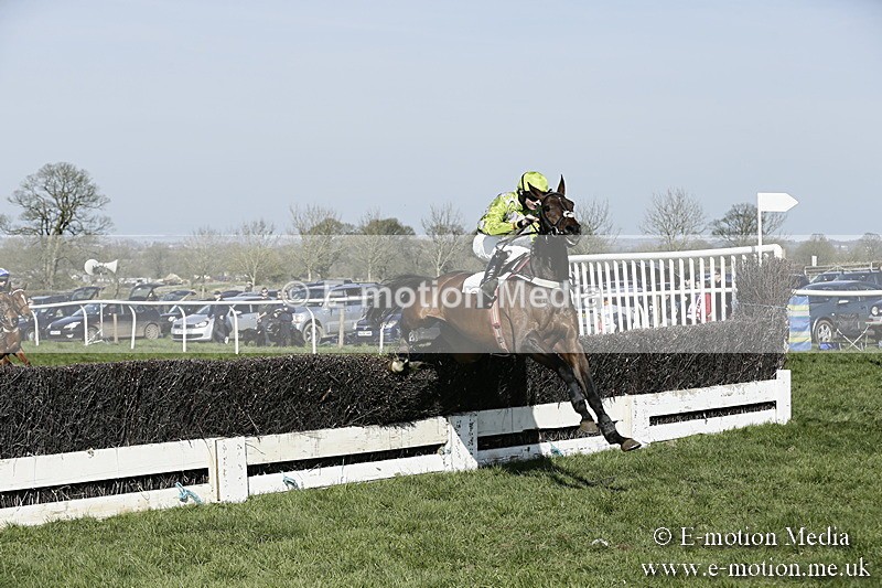 PtP 260317 257 - Mendip Farmers Point-to-Point Ston Easton 26/03/17