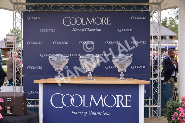 yr19082022r4-113 - Race 4 3.35pm Coolmore Wootton Bassett Nunthorpe Stakes (British Champion Series Race)