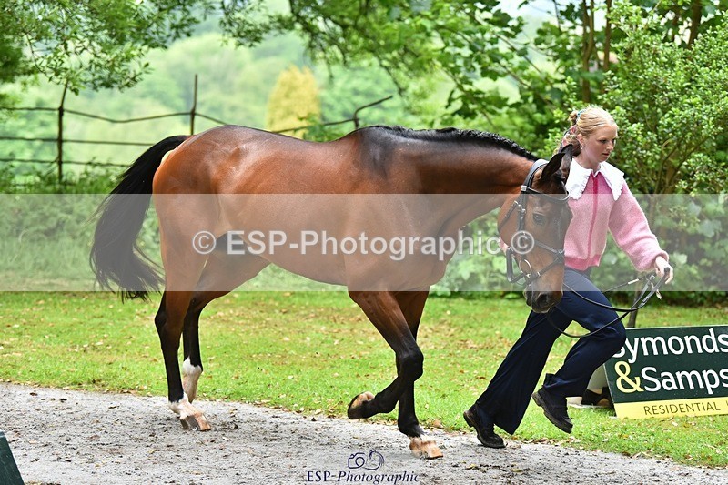 240522-163402-01007 - 261-QUARRY_MAN-Rosie_Ringer