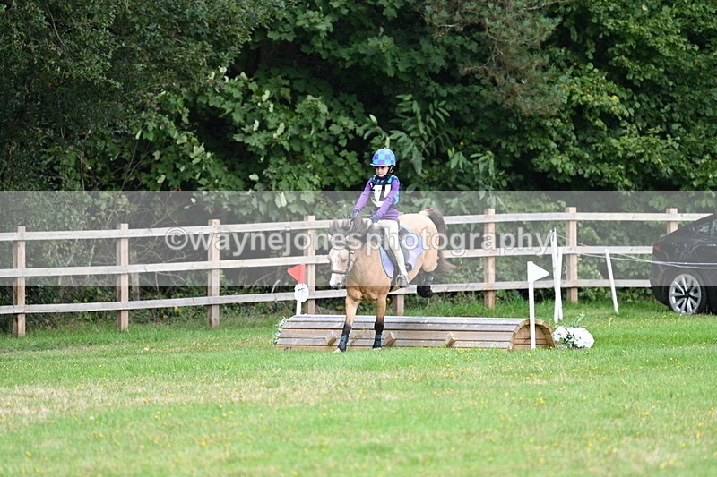 WJ7_7148 - 40cm Time 10:06 to 10:24