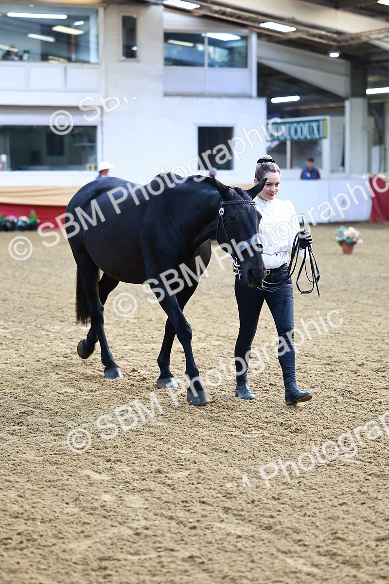 SBM_21677 - Class 901 - Supreme Final - IH  Diamond