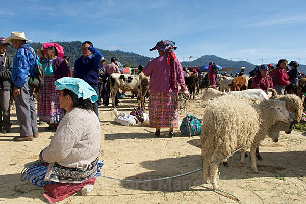 - Guatemala