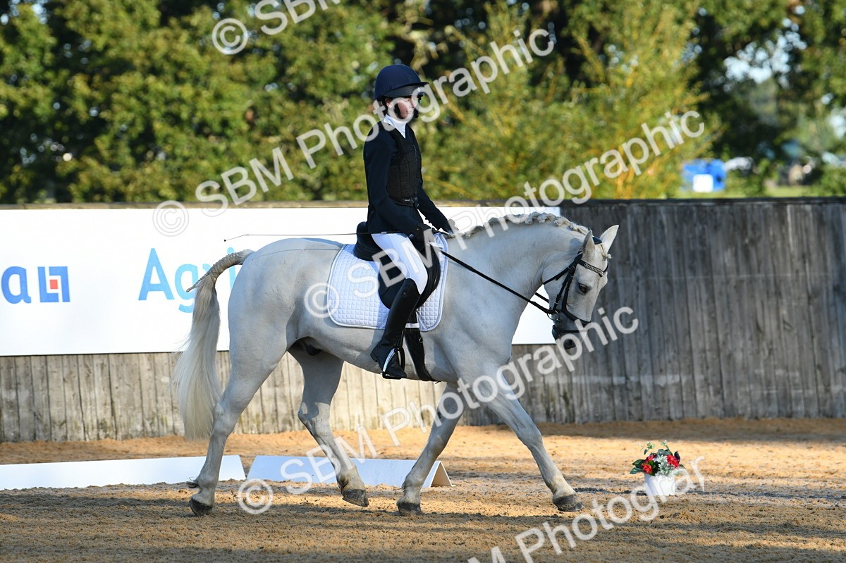 SBM_14254 - D4 - Small Tour Championship - Intro B