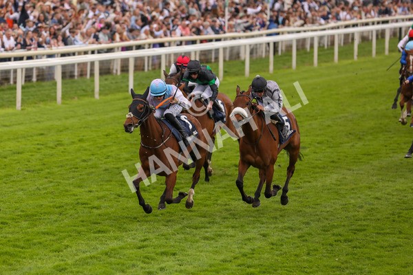 250524-Race 4-Term Of Endearment-3142 - Race 4 3.20pm William Hill Bronte Cup Fillies' Stakes