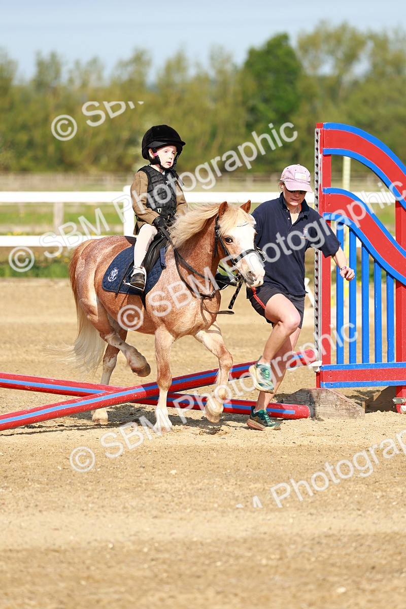 SBM_006193 - Class 1 - 40cm