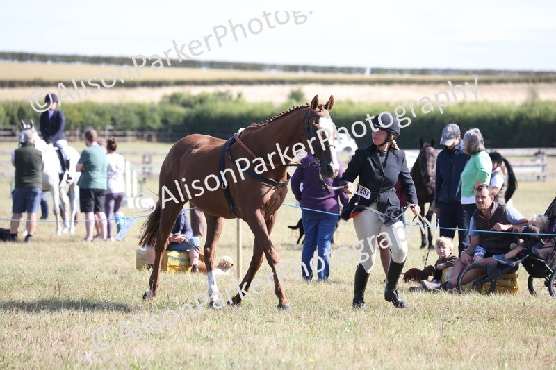 20260906-0710 - Class 22 - Ex Racehorse