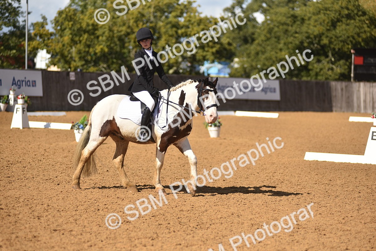 SBM_48686 - D22 - Junior Championship Intro 3
