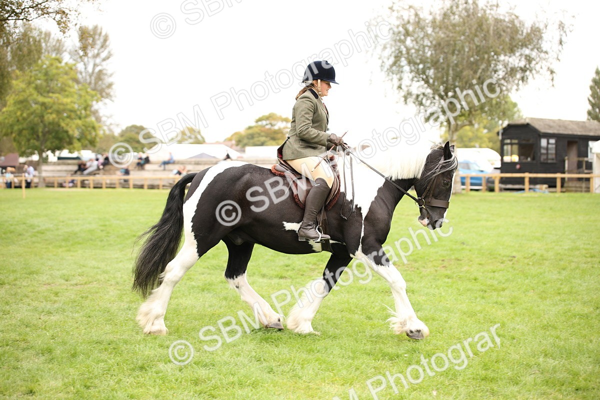 SBM_73495 - S68 - Traditional Cob Ridden