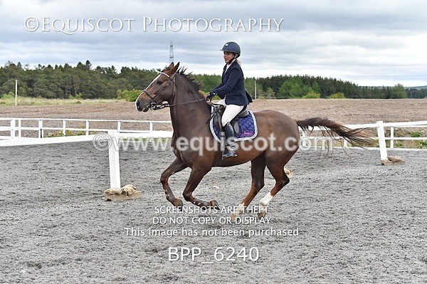 BPP_6240 - SUN CLASS 37 BR NOVICE/90CM