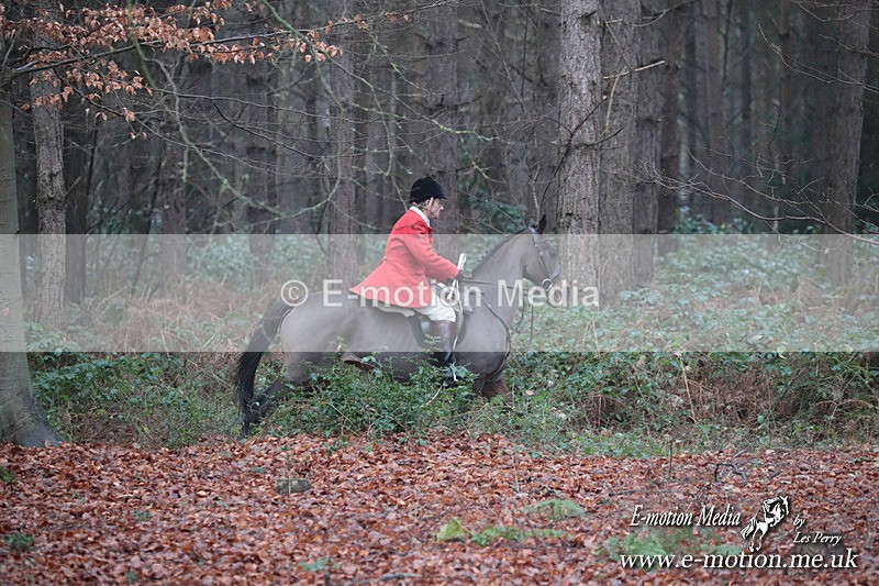 HUPY 261224 79 - Pytchley with Woodland Hunt Boxing Day Meet 26th December 2024