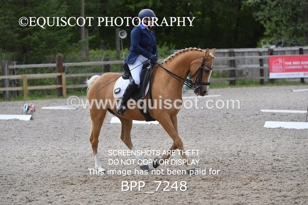 BPP_7248 - 3 D HARRISON