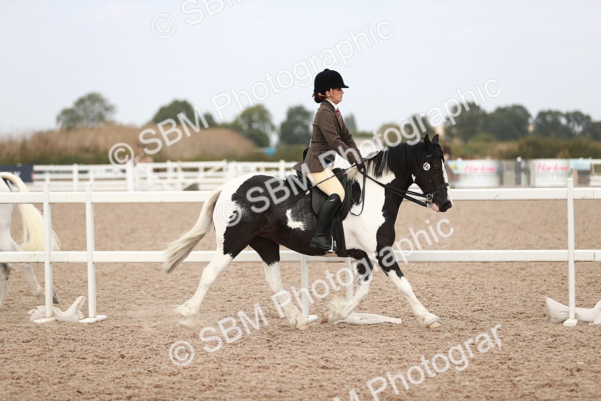SBM_16627 - Class 214 Ridden Cob