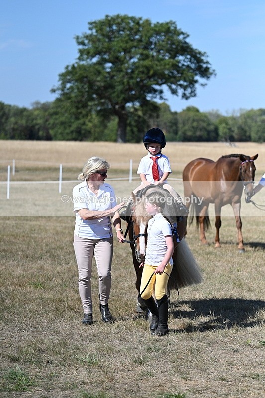 WJ7_1485 - Class 42 Most Handsome Gelding