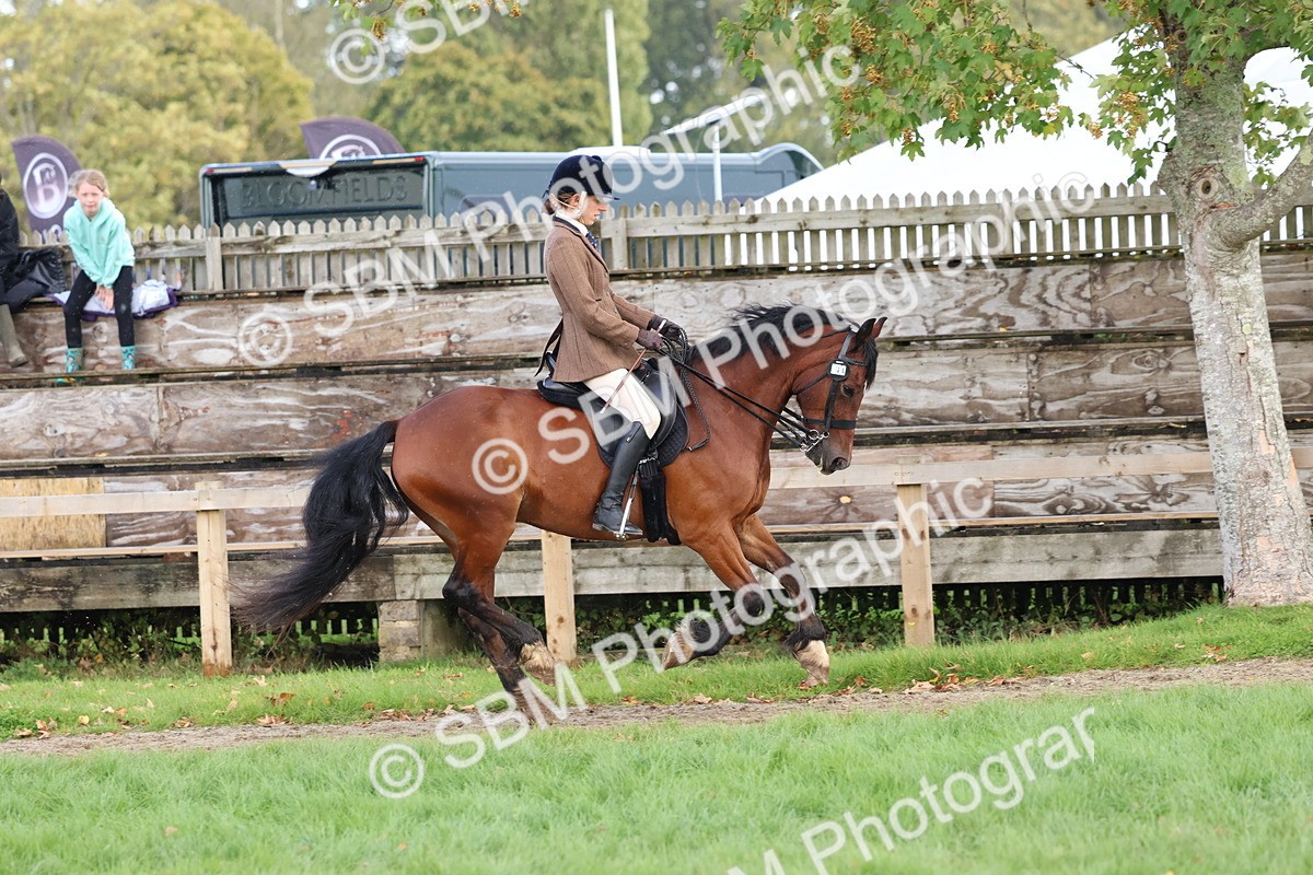 SBM_47676 - S28 - Veteran Ridden