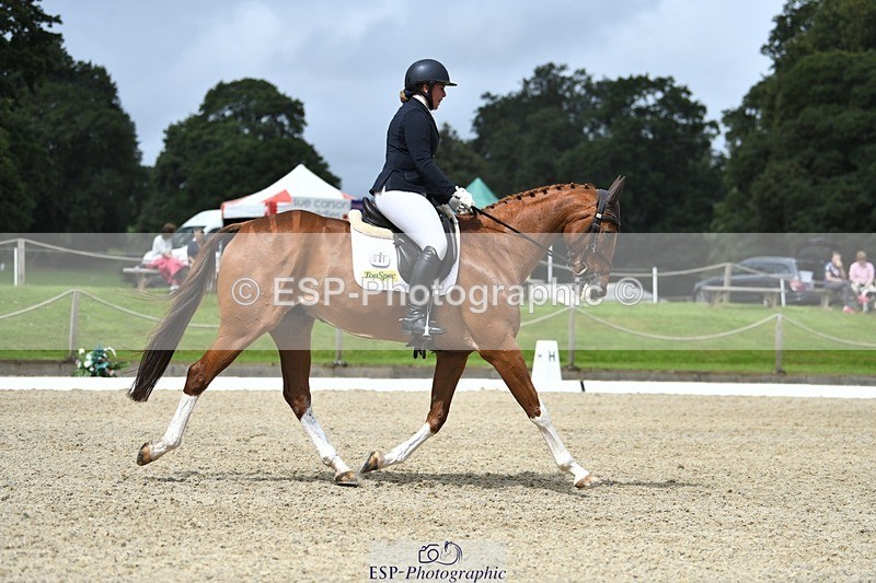 230812-122104-04100 - Cls 6 Novice Silver 12.10 to End