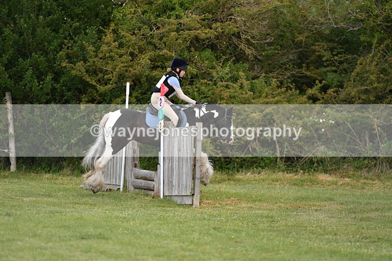 WJ5_2741 - Class 2 40cm