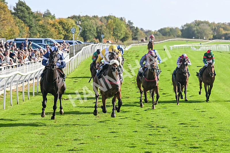 191024-Race 3-Jachin-4184 - Race 3