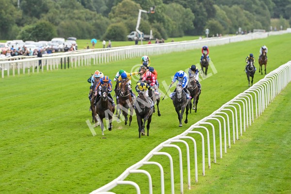 240824-Race 2-Tabletalk-1278 - Race 2 2.25pm Sky Bet Melrose Handicap