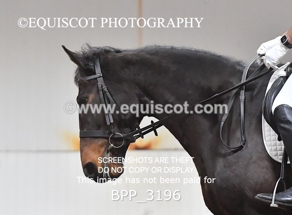 BPP_3196 - INTRO TEST 3