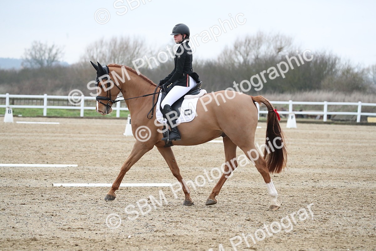 SBM_004619 - Novice 3