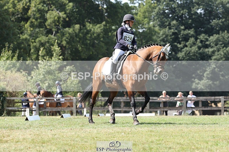 250823A-132622-31312 - Arena D