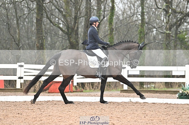 250215-115917-03309 - 165-Elder.Klatzko-Dynasty.Hit