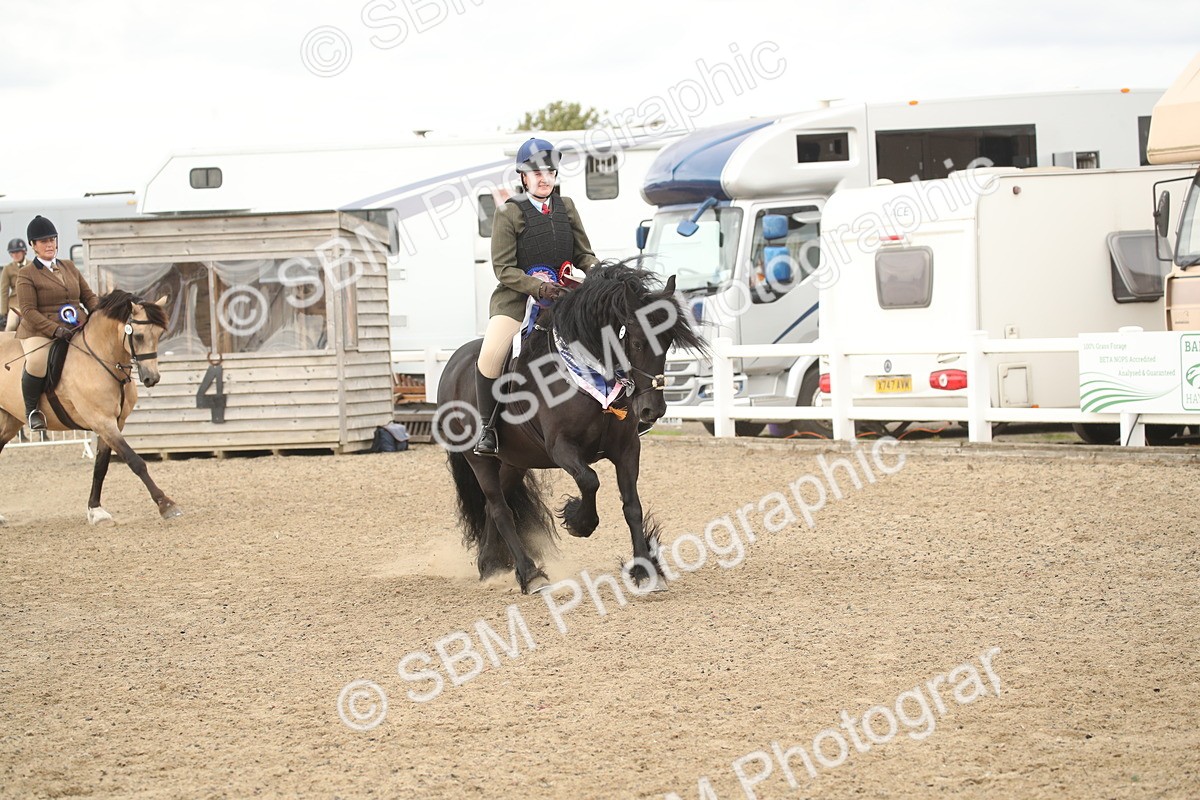 SBM_16712 - Class 507a - Working Veteran - 60cm (15-19)