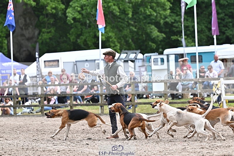 250524A-152320-12715 - East Devon Hounds