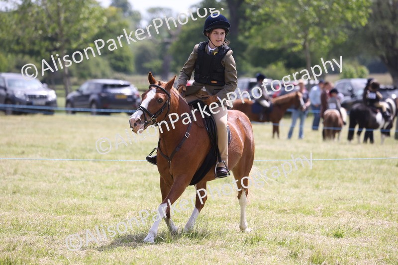 20260614-1940 - Class 21 - Novice Working Hunter Pony