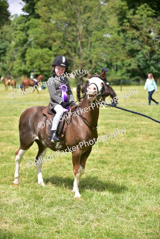 20260614-1420 - Class 11b - Lead Rein Pony (Plaited)