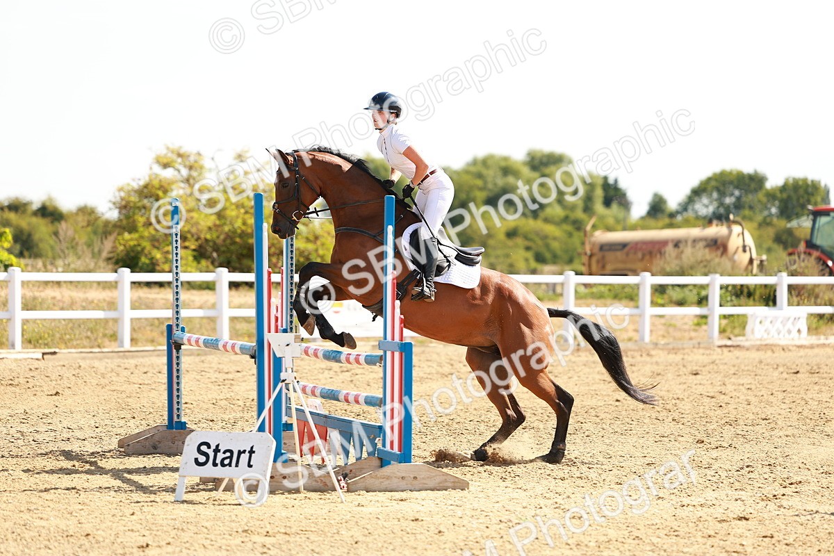 SBM_002640 - Class 9 - Senior British Novice - 90cm