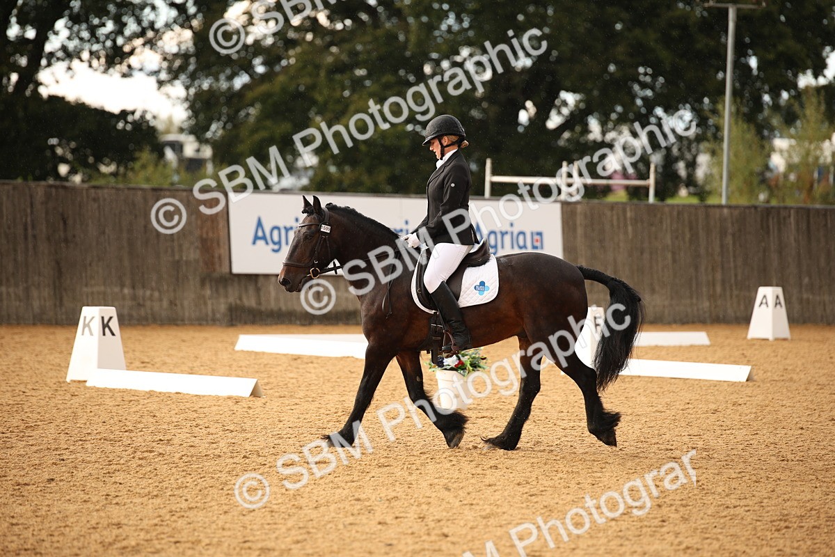 SBM_12402 - D3 Small  Tour Championship Intro A