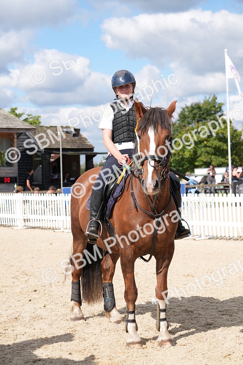 SBM_38926 - J21 - Junior Horse 60cm Championship