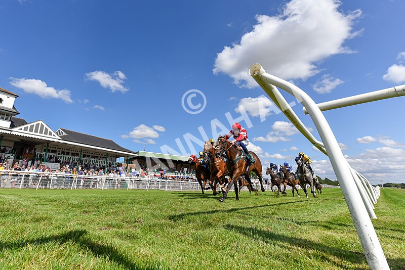 160725-Race 4-Lady Bouquet-7436 - Race 4