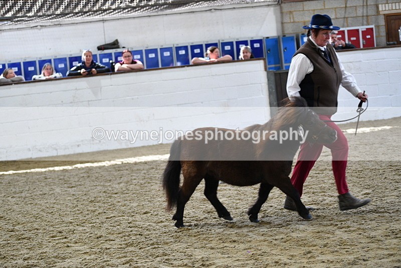 WJ5_5258 - Class 4 In hand M&M - small breeds