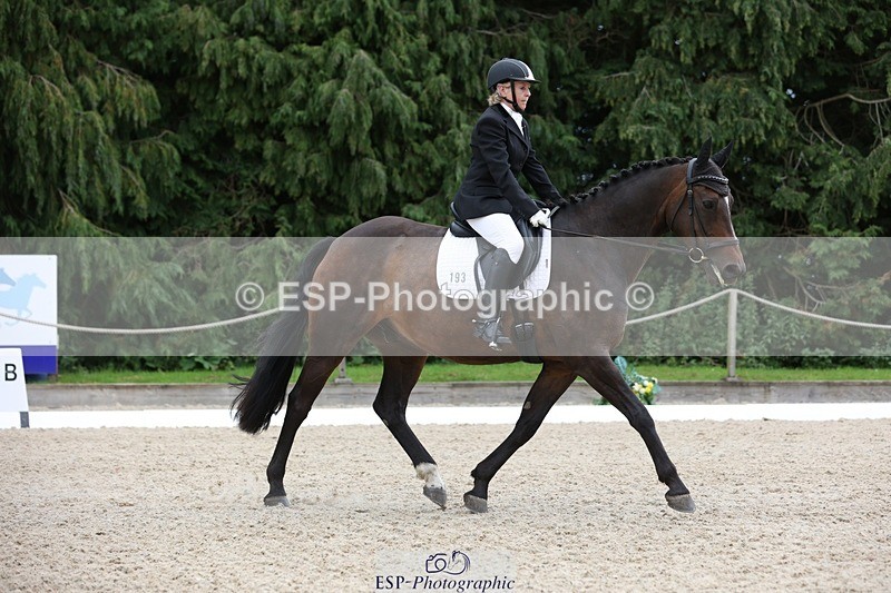 230813-144804-07882 - Cls 11 Elem Bronze 14.30 to End