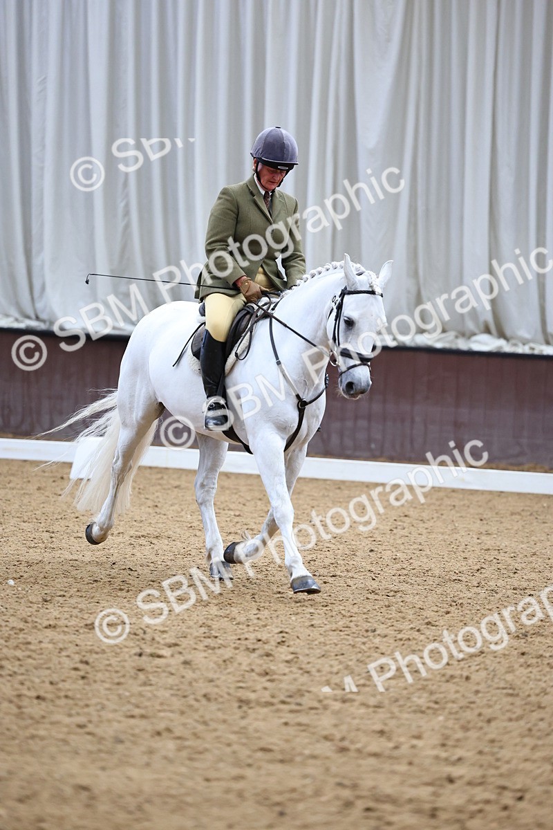 SBM_005460 - Elementary 2