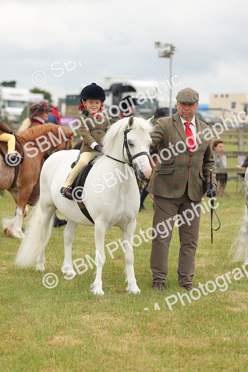 SBM_06743 - Class 74-75 - M&M Lead Rein and First Ridden Pony