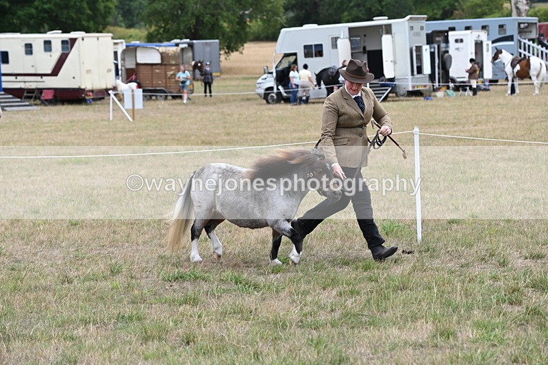 WJ6_5407 - Class 18 In-hand Coloured