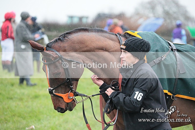 PtP 031223 600 - Wheatland Hunt PtP Chaddesley Races 03/12/23