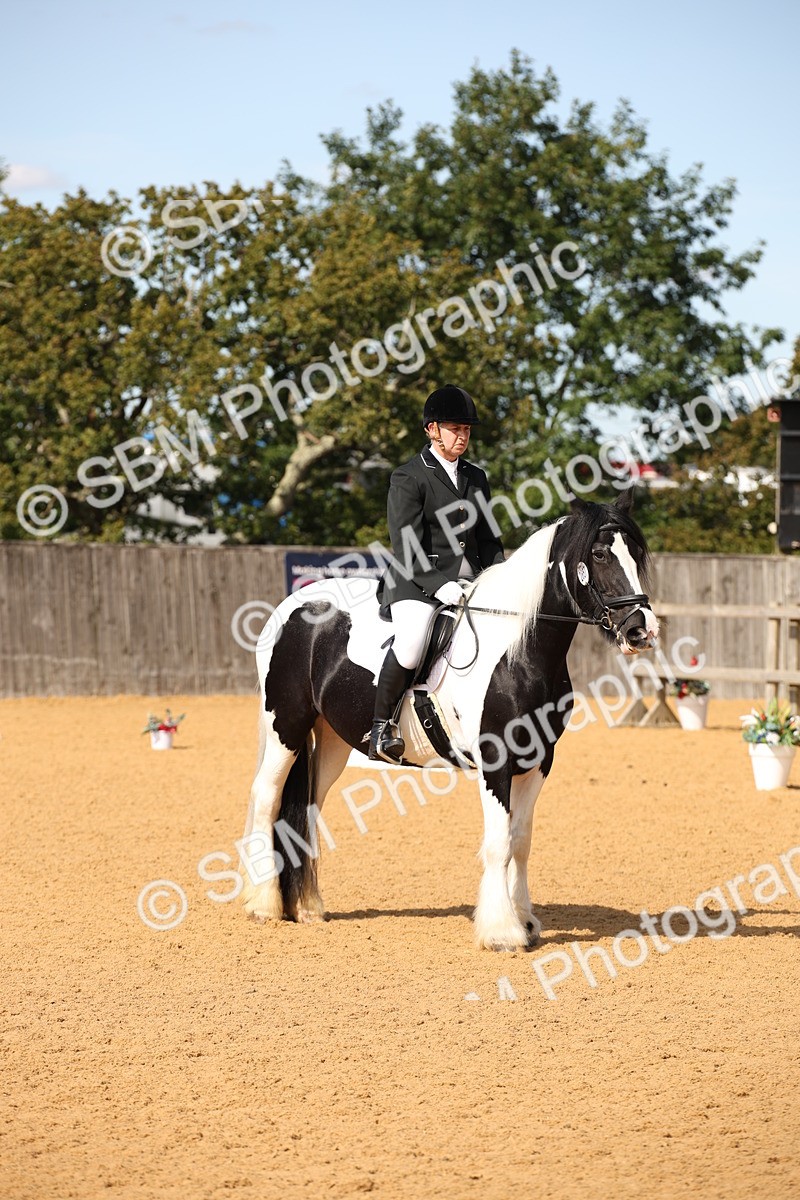 SBM_21848 - D5 - Small Tour Championship - Intro C