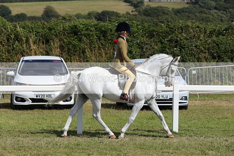 1X9A5662 - Class 40: NPS Welsh A & B