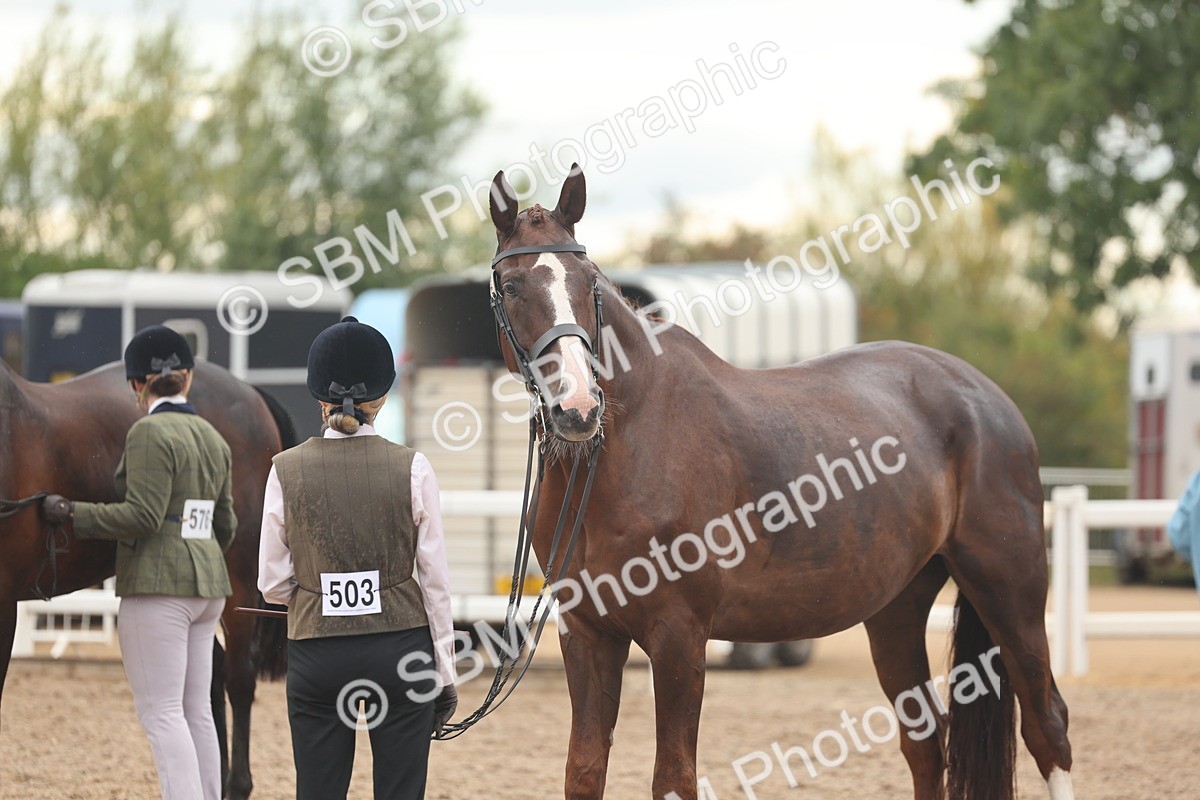 SBM_07765 - Class 27 - IH Competition Horse/Pony